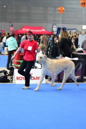 DUOCACIB BRNO 4-5.02.2017