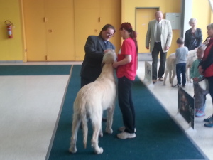 NVP OSTRAVA 9.4.2017