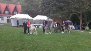 KV WDK Konopiště-V1,CAC