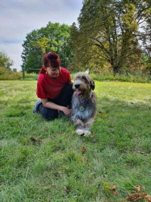 Sighthound National Show Wroclaw