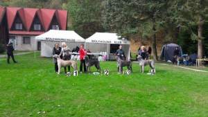 KV WDK Knopiště-V2