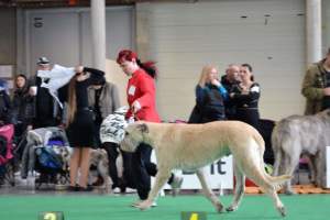 MVP České Budějovice