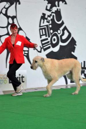 MVP České Budějovice