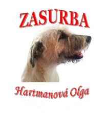 Logo ZASURBA